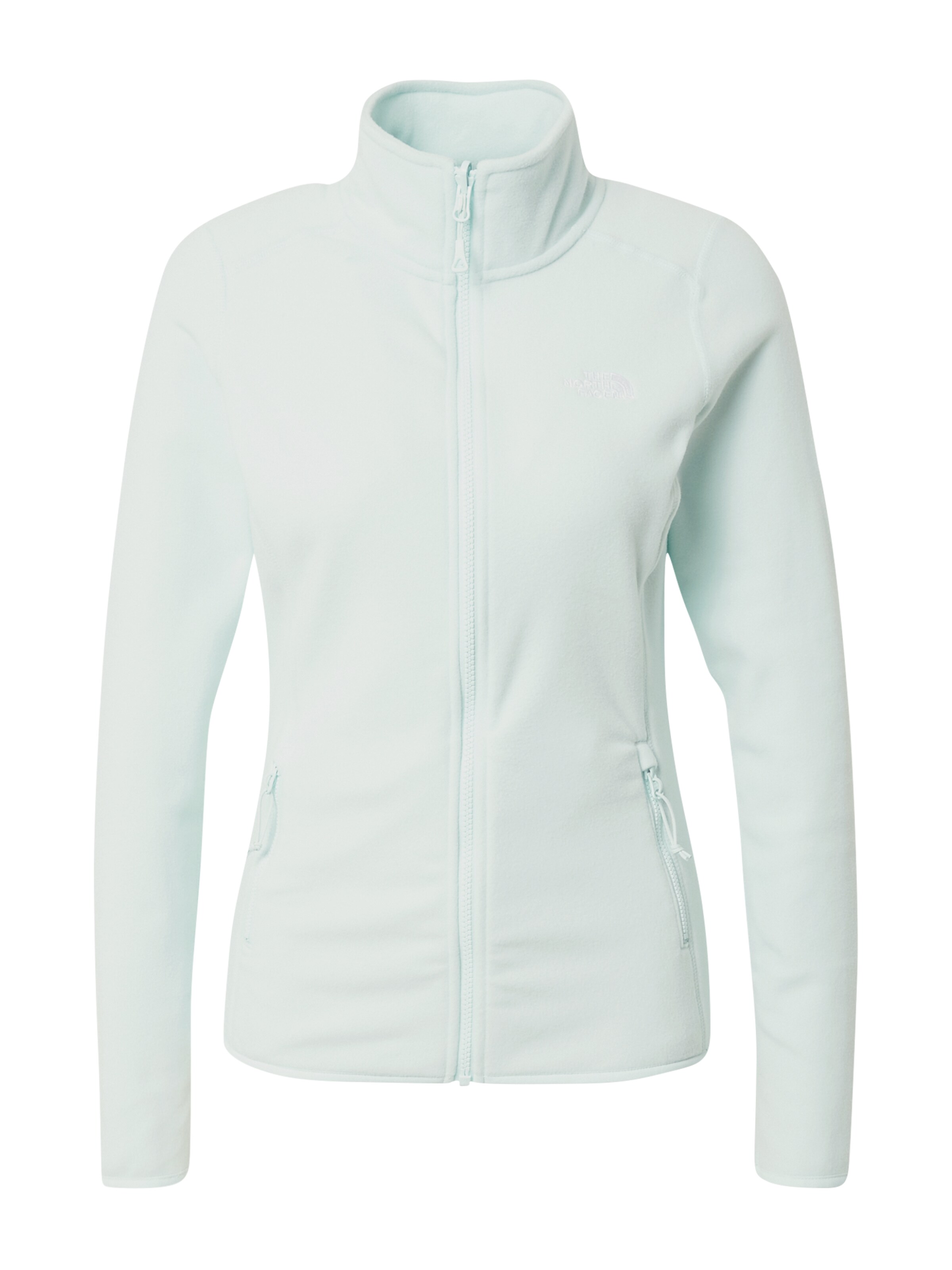 THE NORTH FACE Athletic Fleece Jacket 'GLACIER' in Blue: front