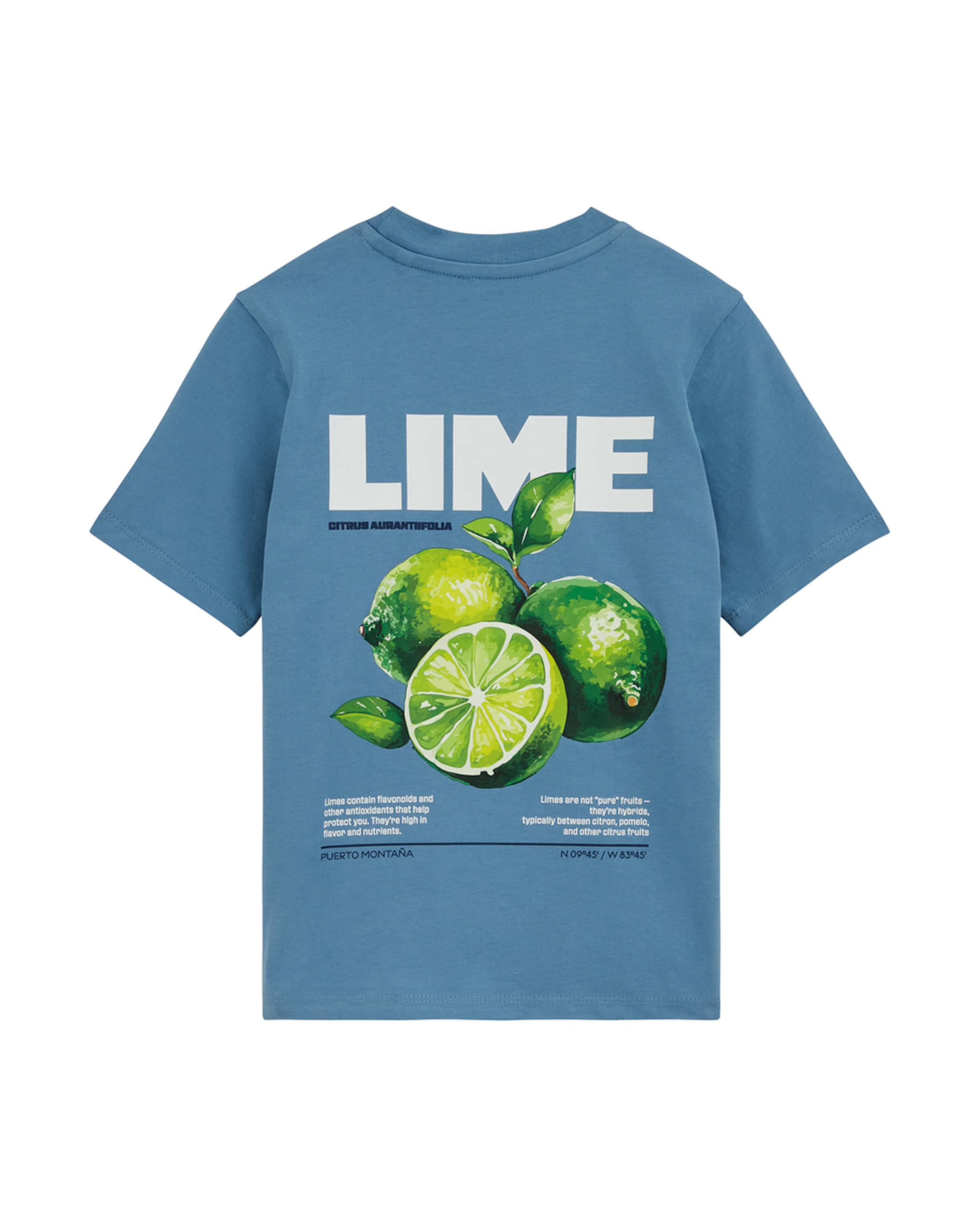 WE Fashion Shirt in Blauw