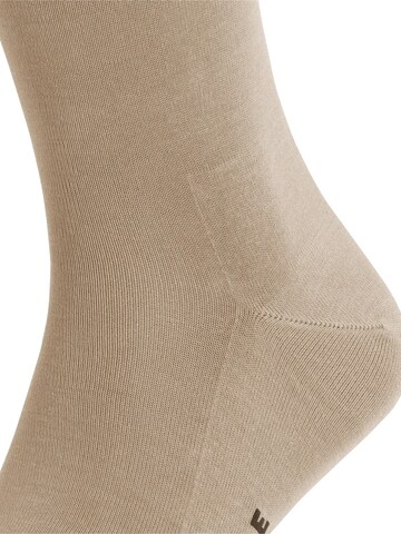 FALKE Socken 'Tiago'‌‌‌‌ in Beige