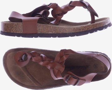 EDDIE BAUER Sandalen 36 in Braun: predná strana