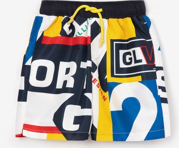 Gulliver Board Shorts in Mixed colors: front