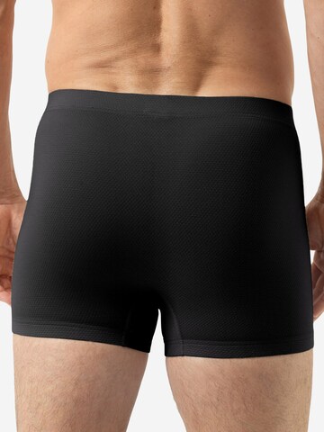 Mey Boxer shorts 'Dry Cotton Breeze' in Black