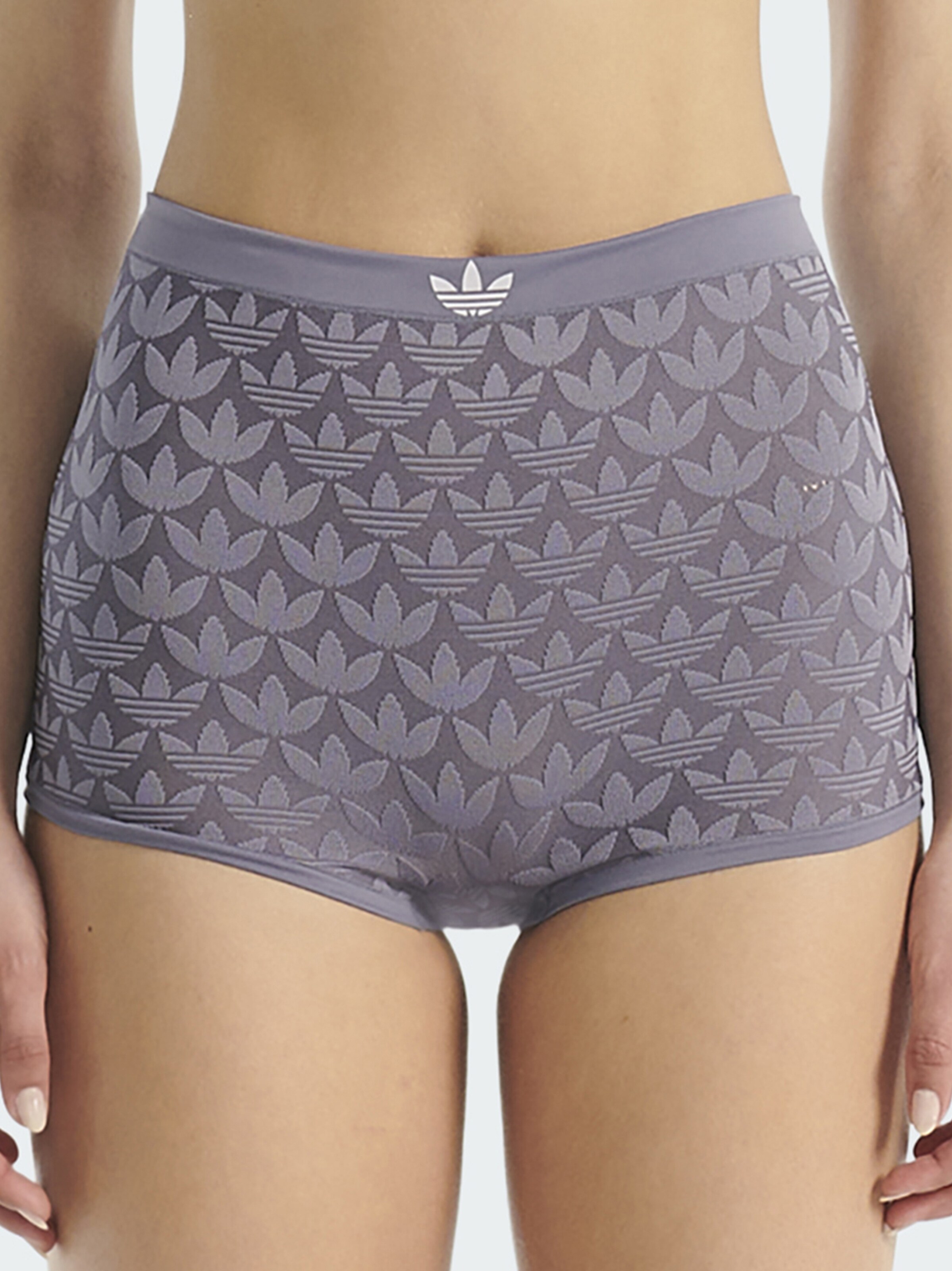 ADIDAS ORIGINALS Panty ' Microterrot Monogram ' in Purple: front