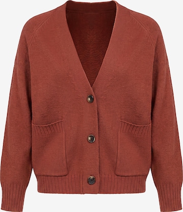 Cardigan Imily Bela en marron : devant