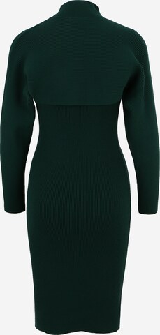 Banana Republic Petite Knit dress 'SERENE' in Green