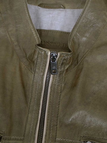 MILESTONE Between-season jacket 'MSEthan' in Green