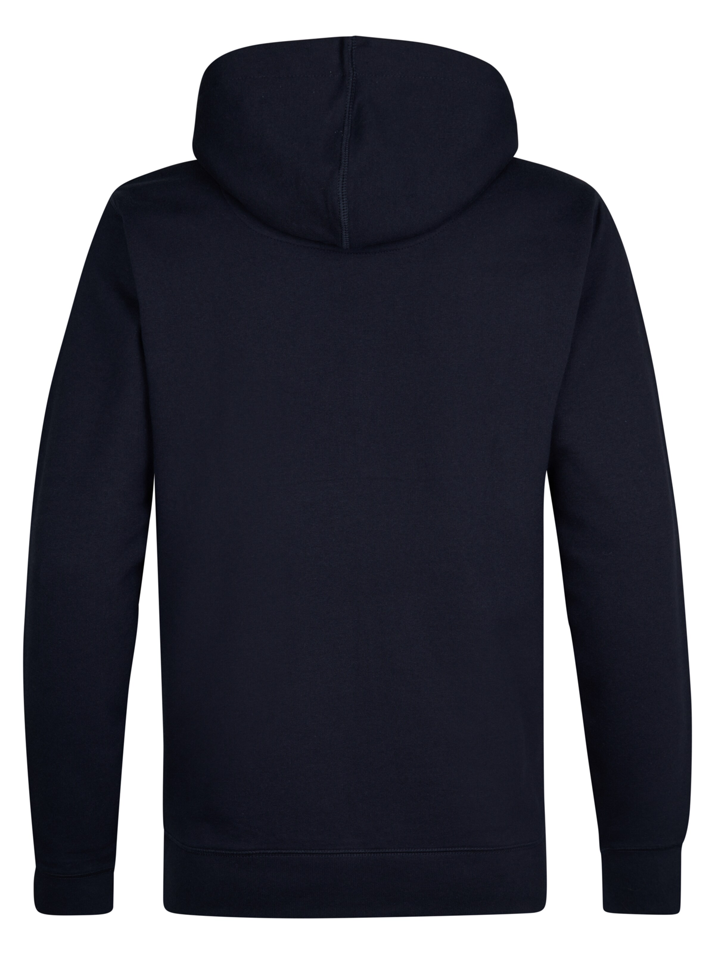 Petrol Industries Sweatshirt in Blue