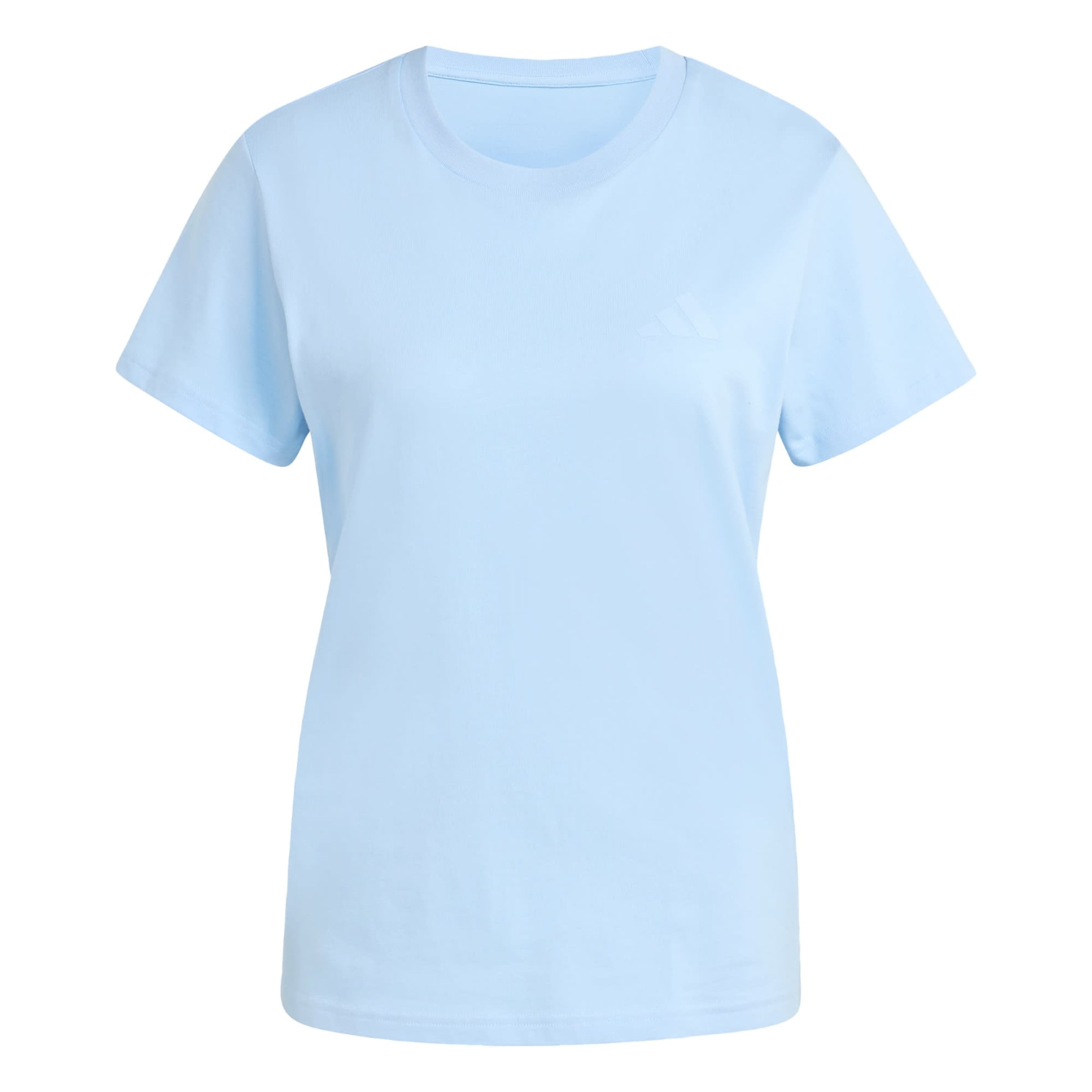 ADIDAS TERREX - Camiseta funcional 'Mountain' en azul: frente