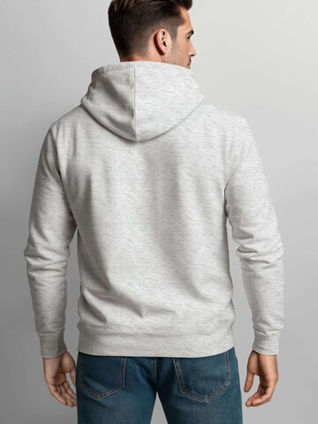 Neverless Sweatshirt 'Wild Spirit' in Grey