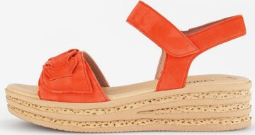 GABOR Sandals in Orange