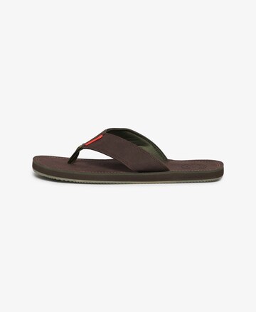 Tongs 'Premium' Superdry en vert