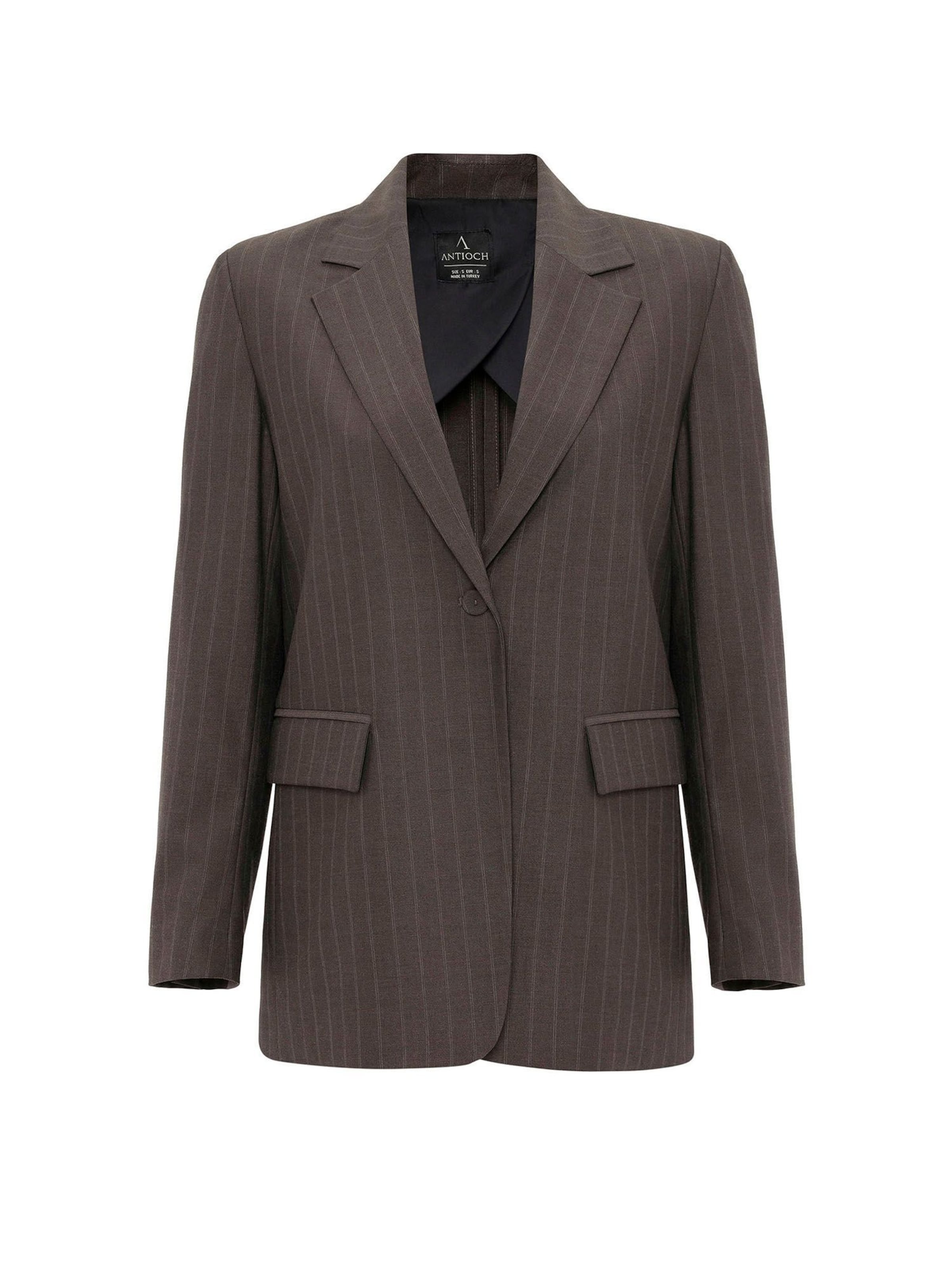 Antioch Bleiser, värv pruun: eest vaates