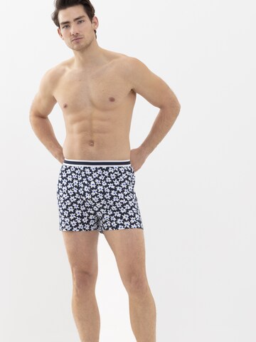 Mey Boxer shorts in Blue: front
