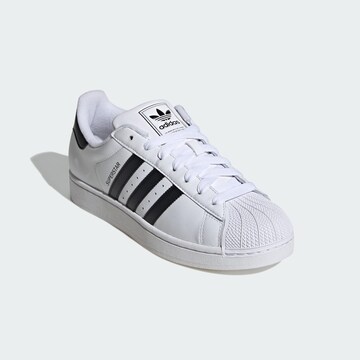 Baskets basses 'Superstar' ADIDAS ORIGINALS en blanc