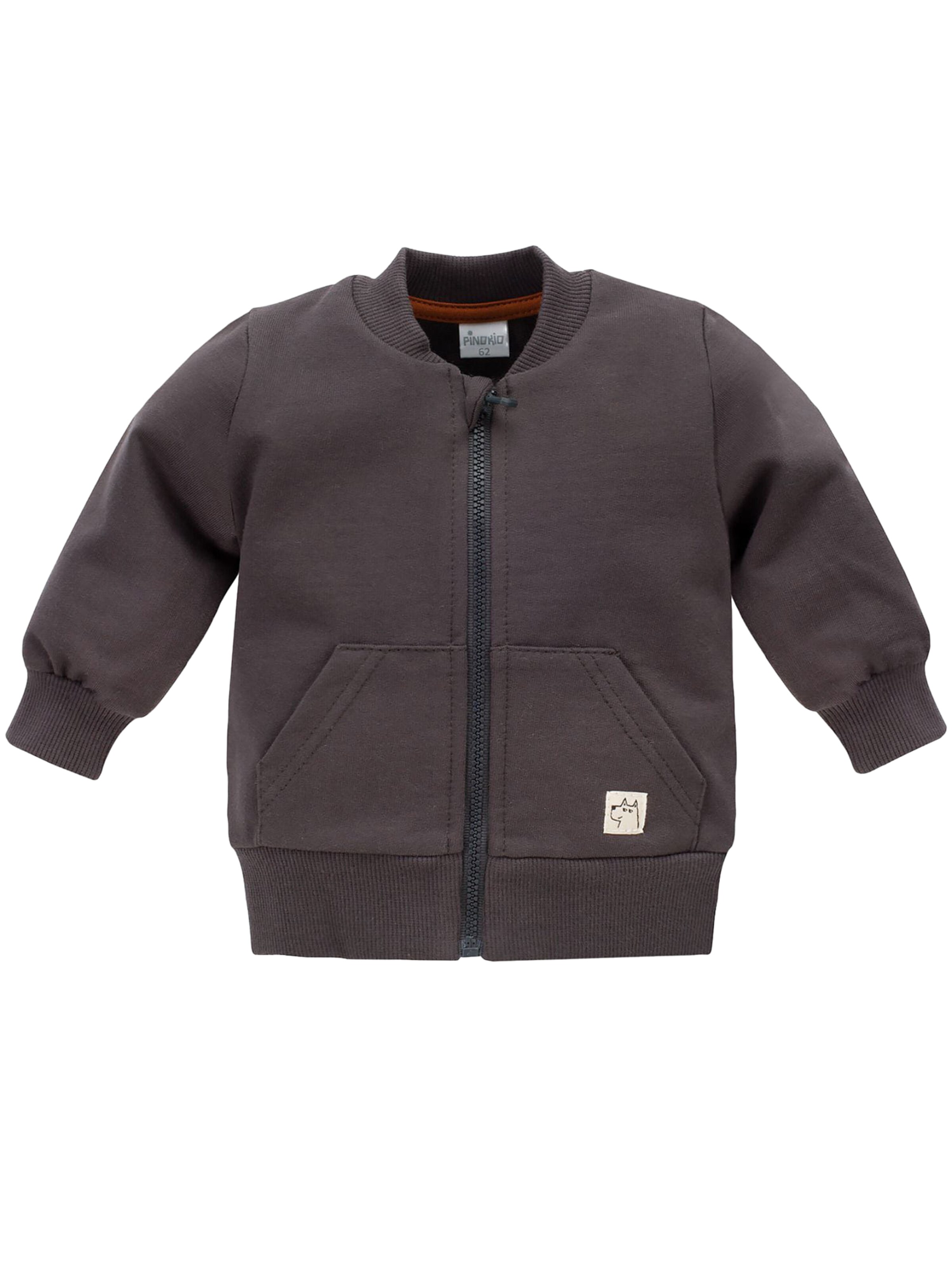 Pinokio Sweatvest in Grijs: voorkant