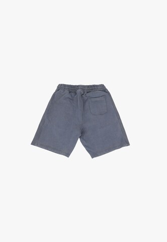 Loosefit Pantalon Dropsize en gris
