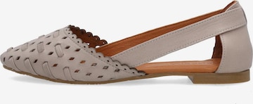 VENEZIA Ballet Flats in Grey: front