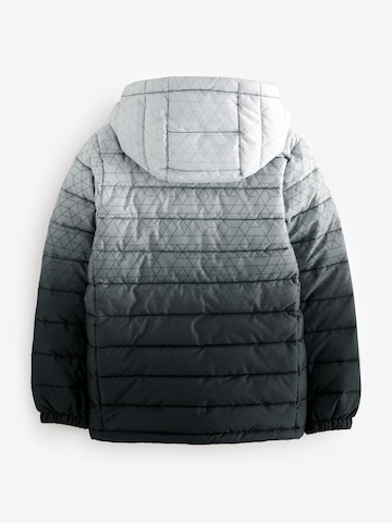 Giacca invernale di Next in grigio