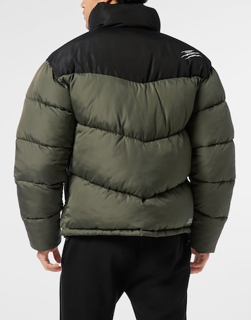 Giacca invernale di Plein Sport in verde