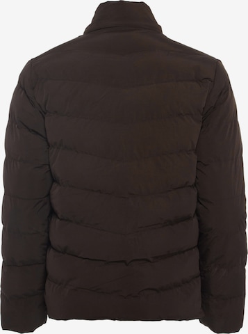 BRAELYN Winter Jacket in Brown