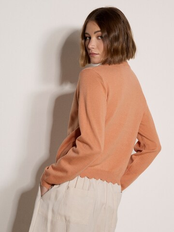 Cardigan bavarois ' ' Apricot en orange