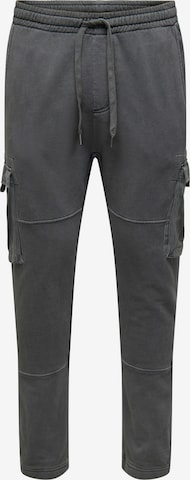 Only & Sons Regular Cargo Pants 'JIMI' in Grey: front