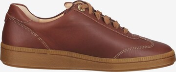 Ganter Lace-Up Shoes in Brown