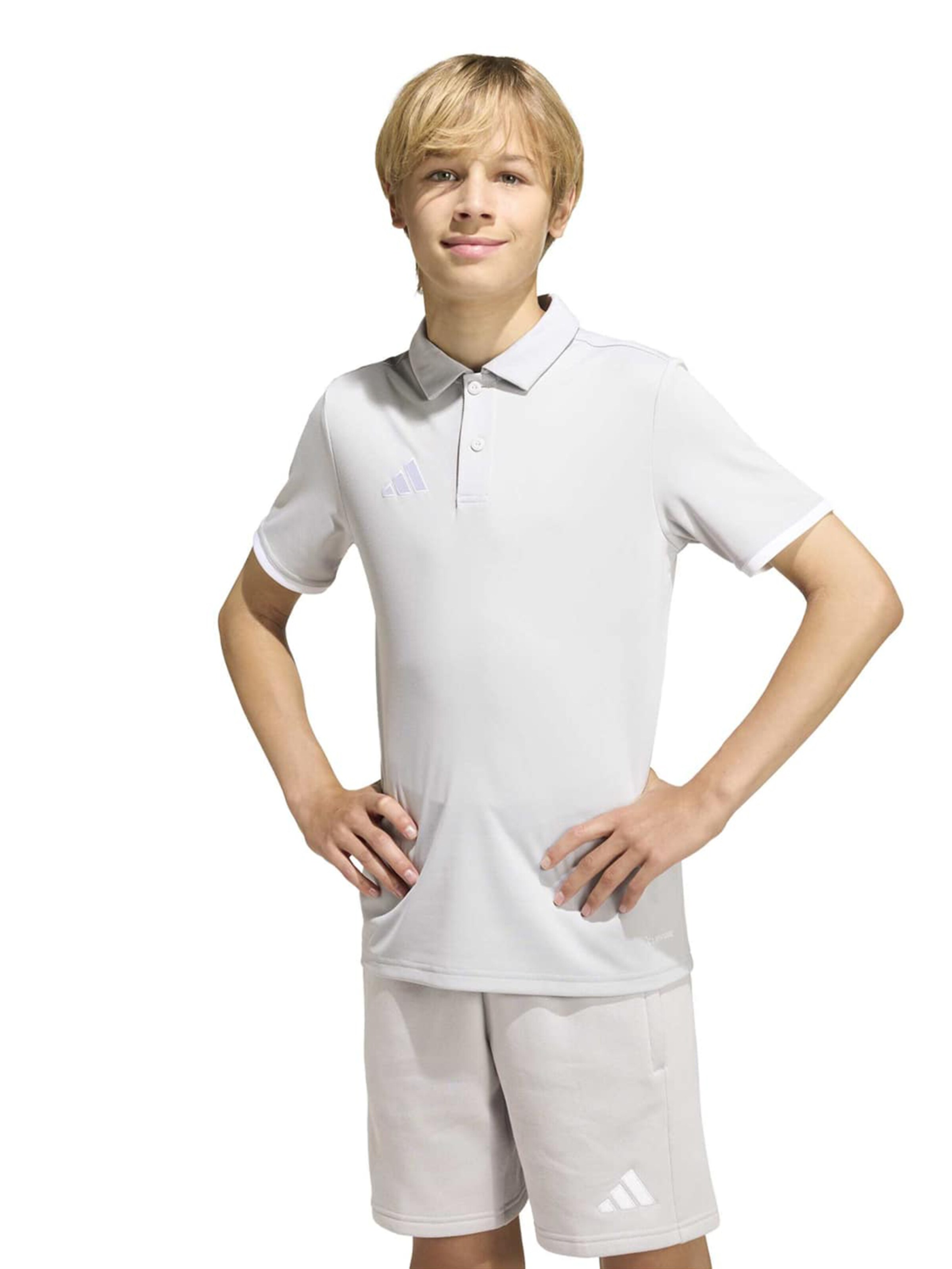 ADIDAS PERFORMANCE Toiminnallinen paita 'ENT26' värissä harmaa