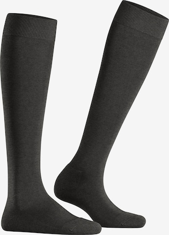 FALKE Knee High Socks 'ClimaWool' in Grey: front