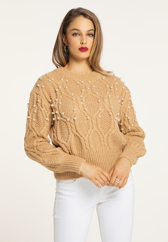 faina Oversized Sweater in Brown: front