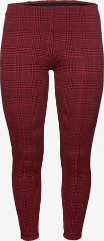 SHEEGO Leggings in Rot: predná strana