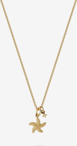 Guido Maria Kretschmer Jewellery Necklace in Gold: front