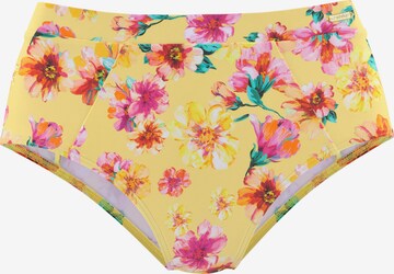 SUNSEEKER Bikini bottom in Mixed colours: front