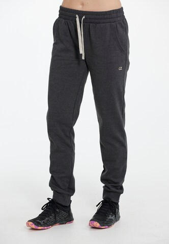 Cruz Tapered Pants in Grey: front