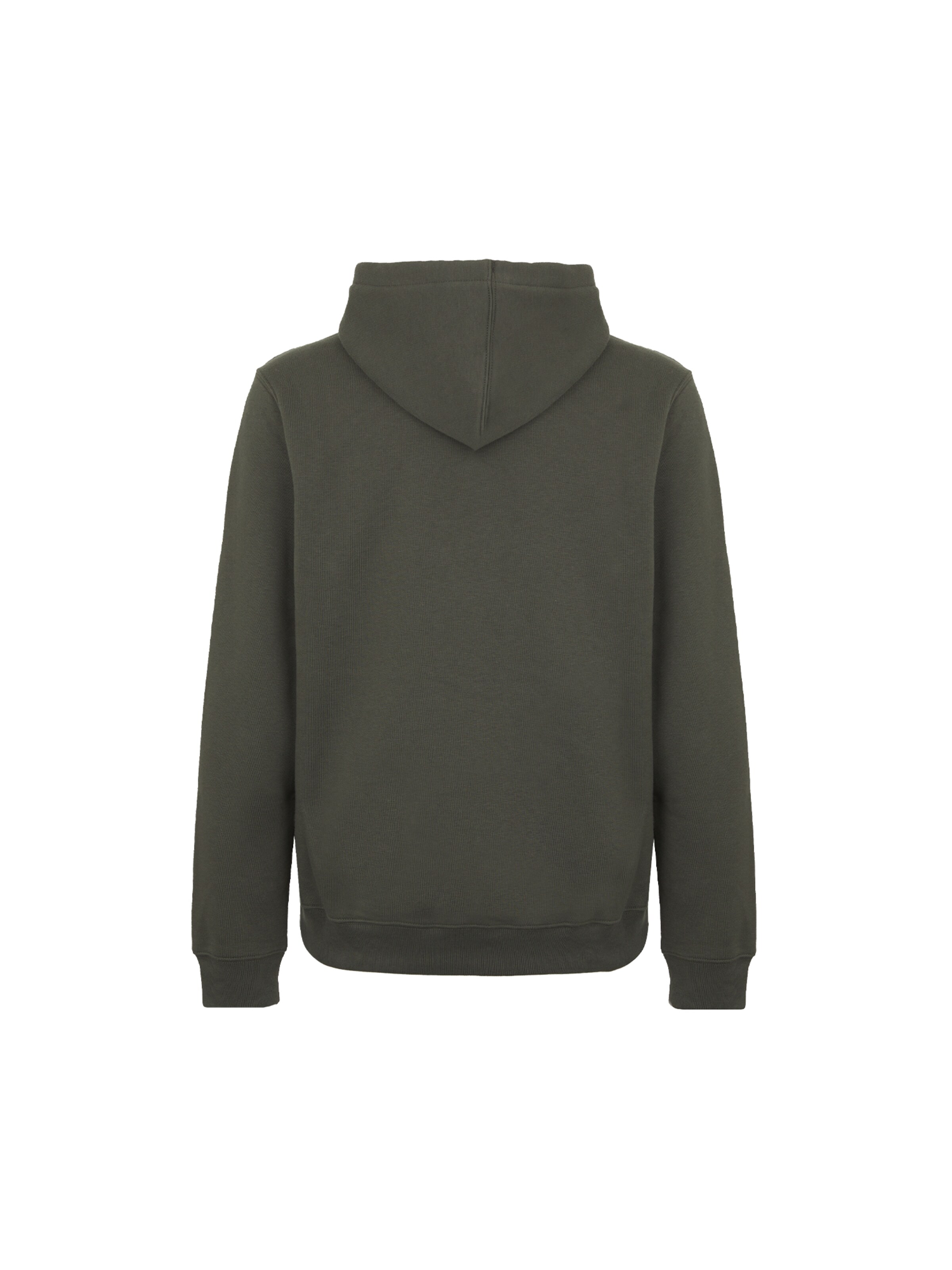 DICKIES Μπλούζα φούτερ 'Oakport' σε πράσινο