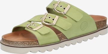 DR. BRINKMANN Pantolette 'XALO' in Grün: Vorderseite