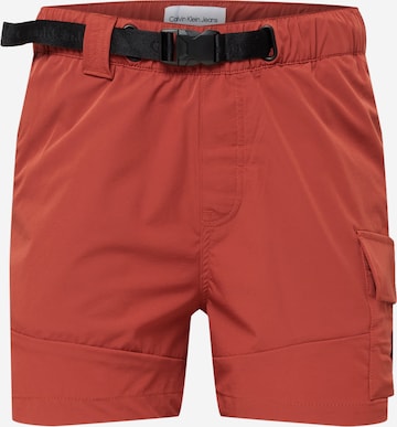 Calvin Klein Jeans Regular Cargo Pants in Brown: front