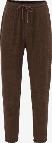 Regular Pantalon Antioch en marron : devant