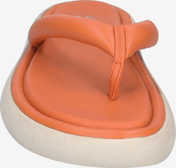 GERRY WEBER T-Bar Sandals 'Amaya 01' in Orange