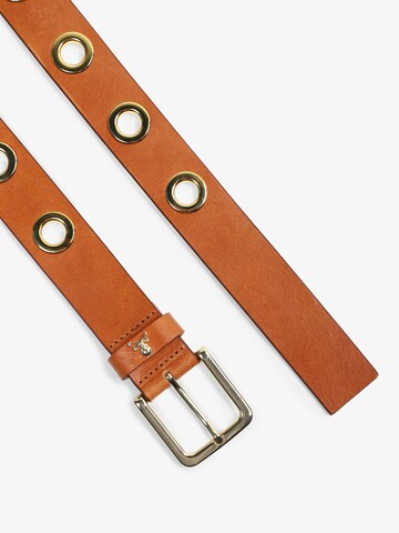 Ceinture Scalpers en marron