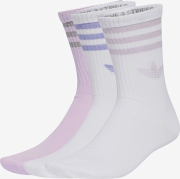 ADIDAS ORIGINALS Socks in Purple: front