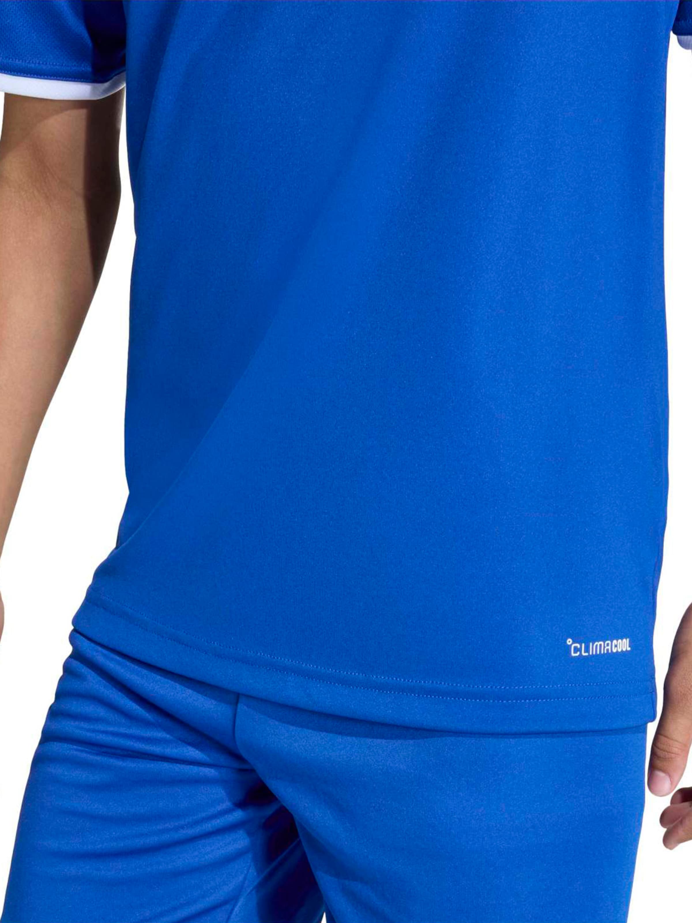 ADIDAS PERFORMANCE Performance Shirt 'ENT26' in Blue