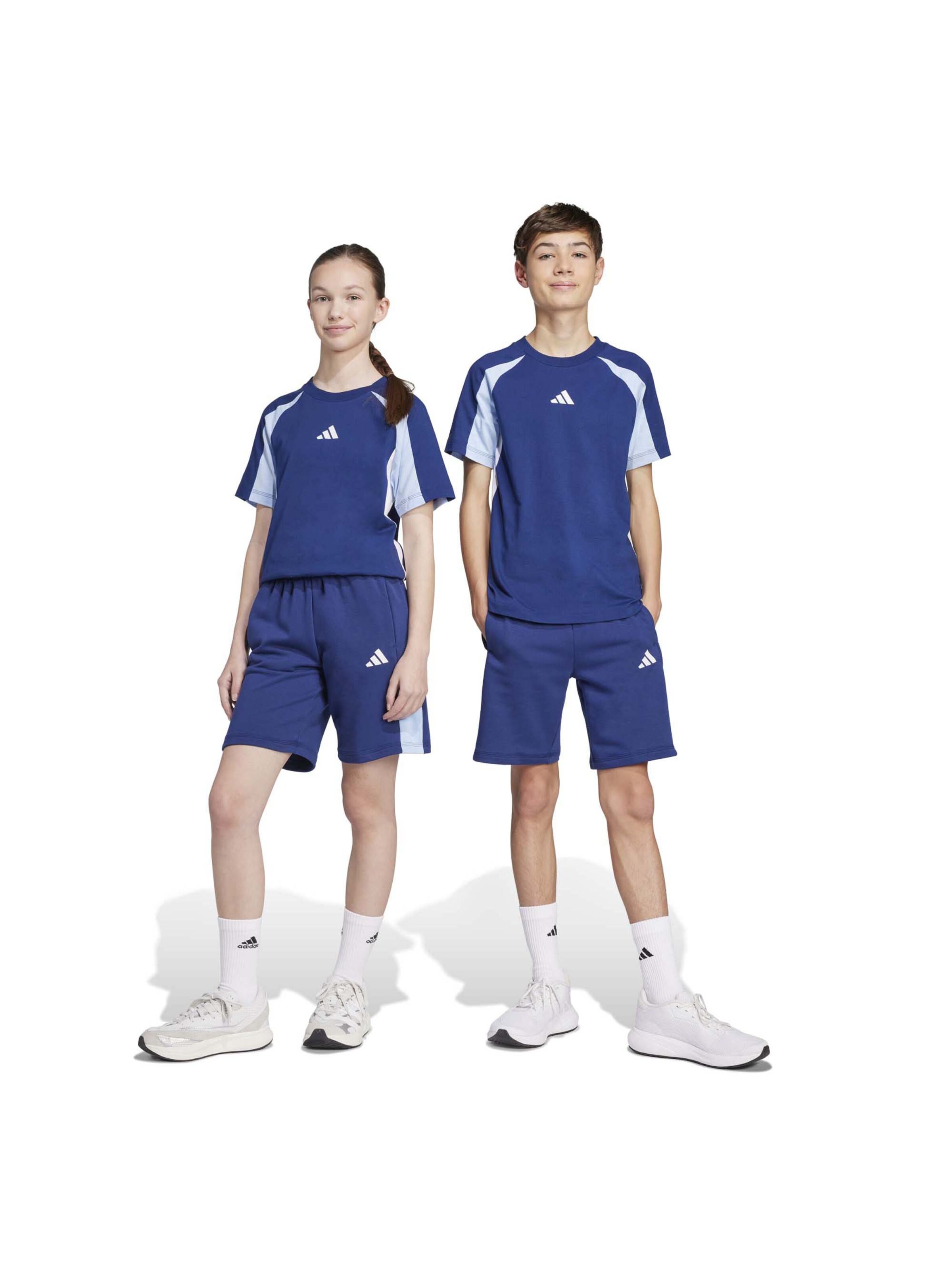 Regular Pantalon de sport ADIDAS SPORTSWEAR en bleu