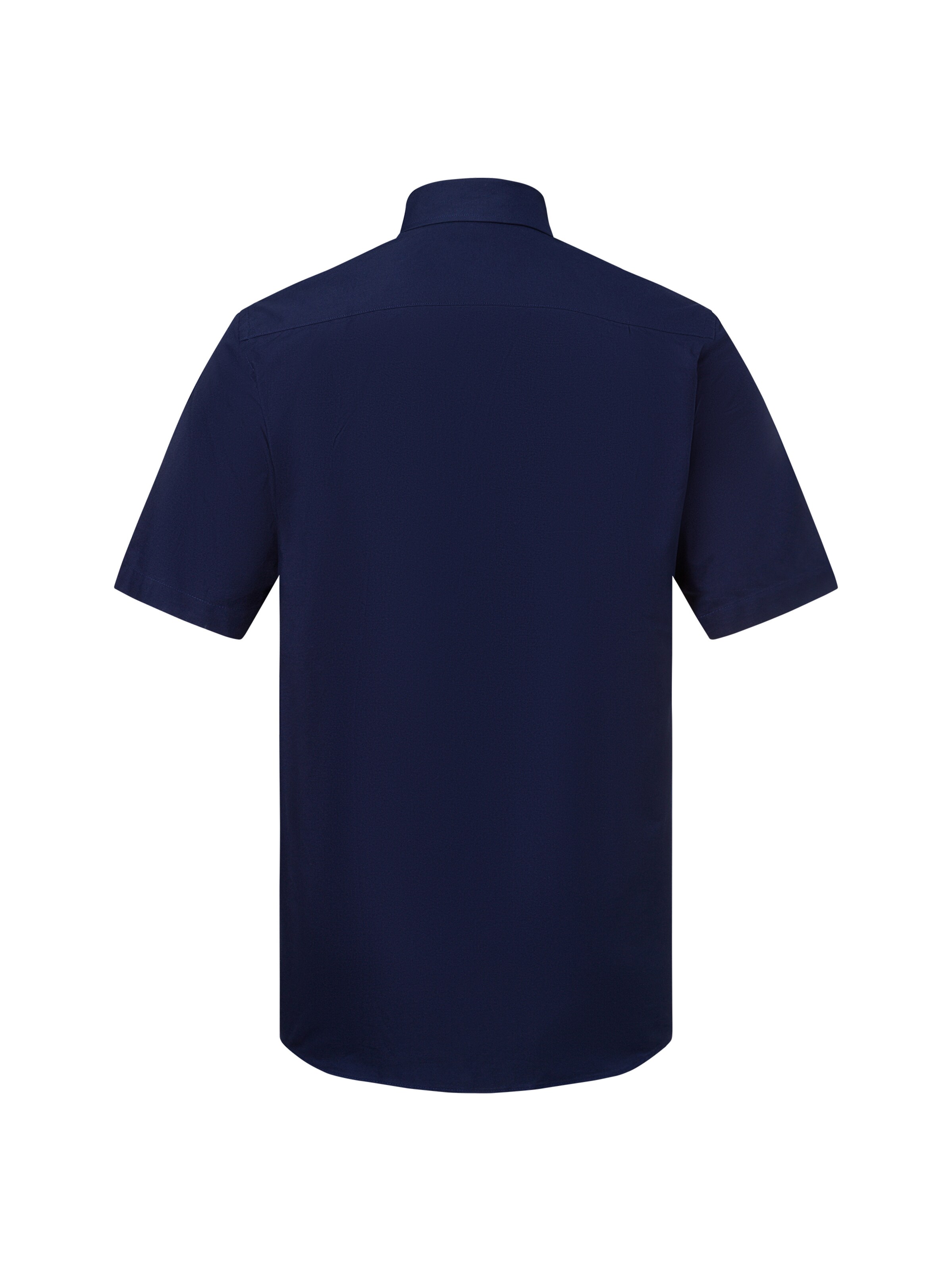 Andrew James Regular fit Button Up Shirt in Blue