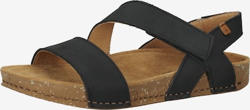 EL NATURALISTA Sandals in Black: front