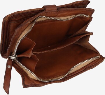 Campomaggi Wallet in Brown