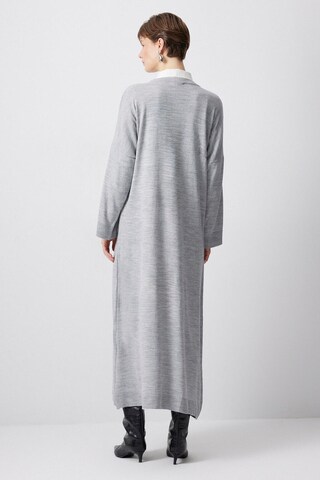 Touche Prive Kleid in Grau