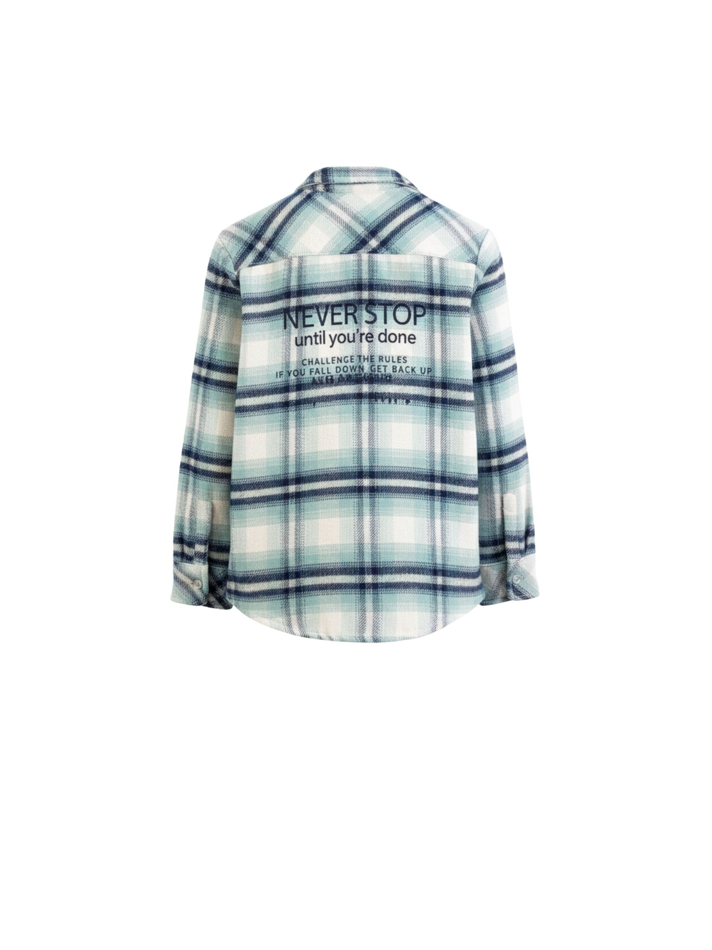 Solang Regular fit Overhemd in Groen