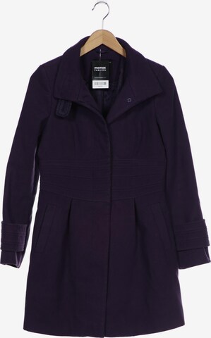 Dorothy Perkins Jacket & Coat in M in Purple: front