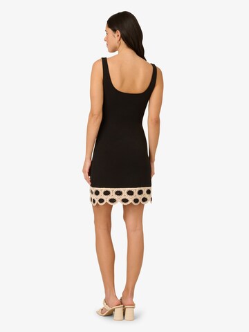 Adrianna Papell Kleid in Schwarz